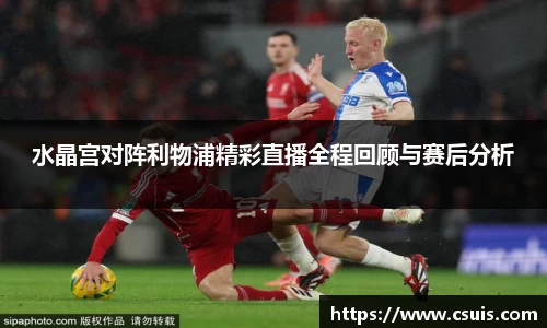 zoty游戏平台入口