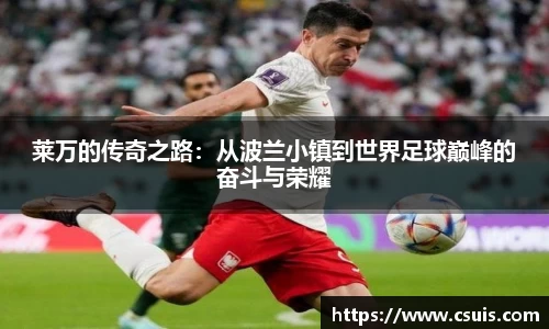 中欧体育在线网页登录