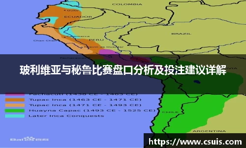 玻利维亚与秘鲁比赛盘口分析及投注建议详解